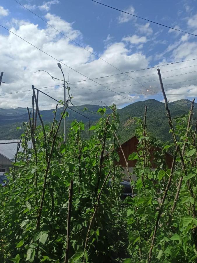 Bbq House Leilighet Dilijan Eksteriør bilde